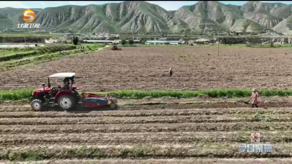 《今日聚焦》——寻找土特产变身金饭碗的路径（一）土豆的“魔法”