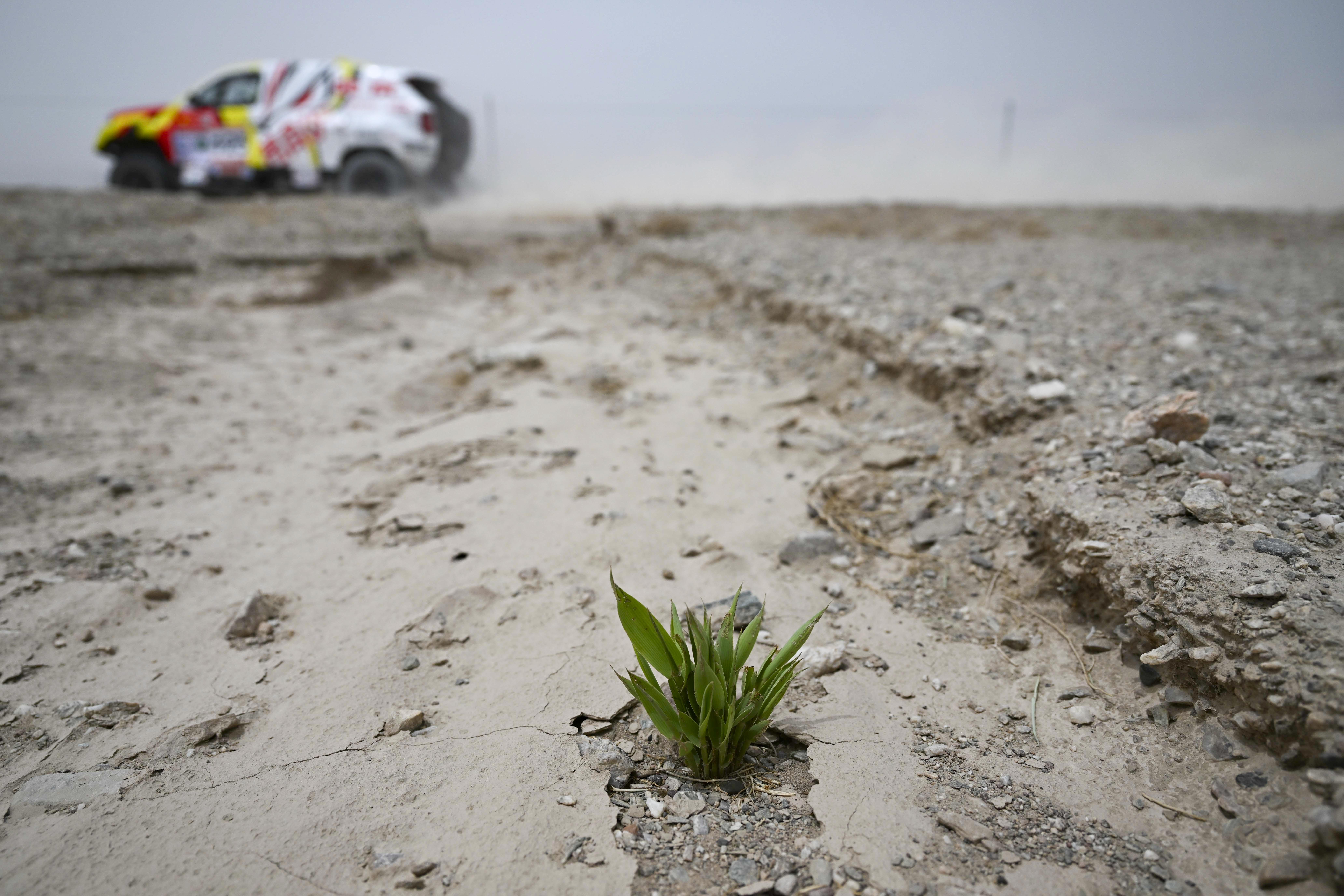 2023中国环塔拉力赛比赛成绩,体育赛车拉力赛