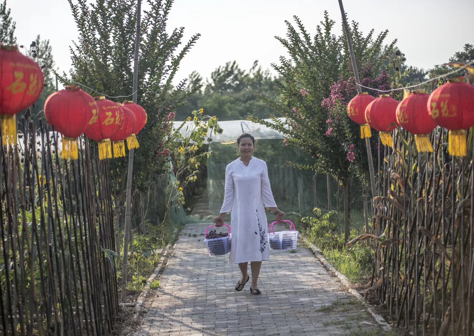 吴珍的创业经历,吴珍赤壁