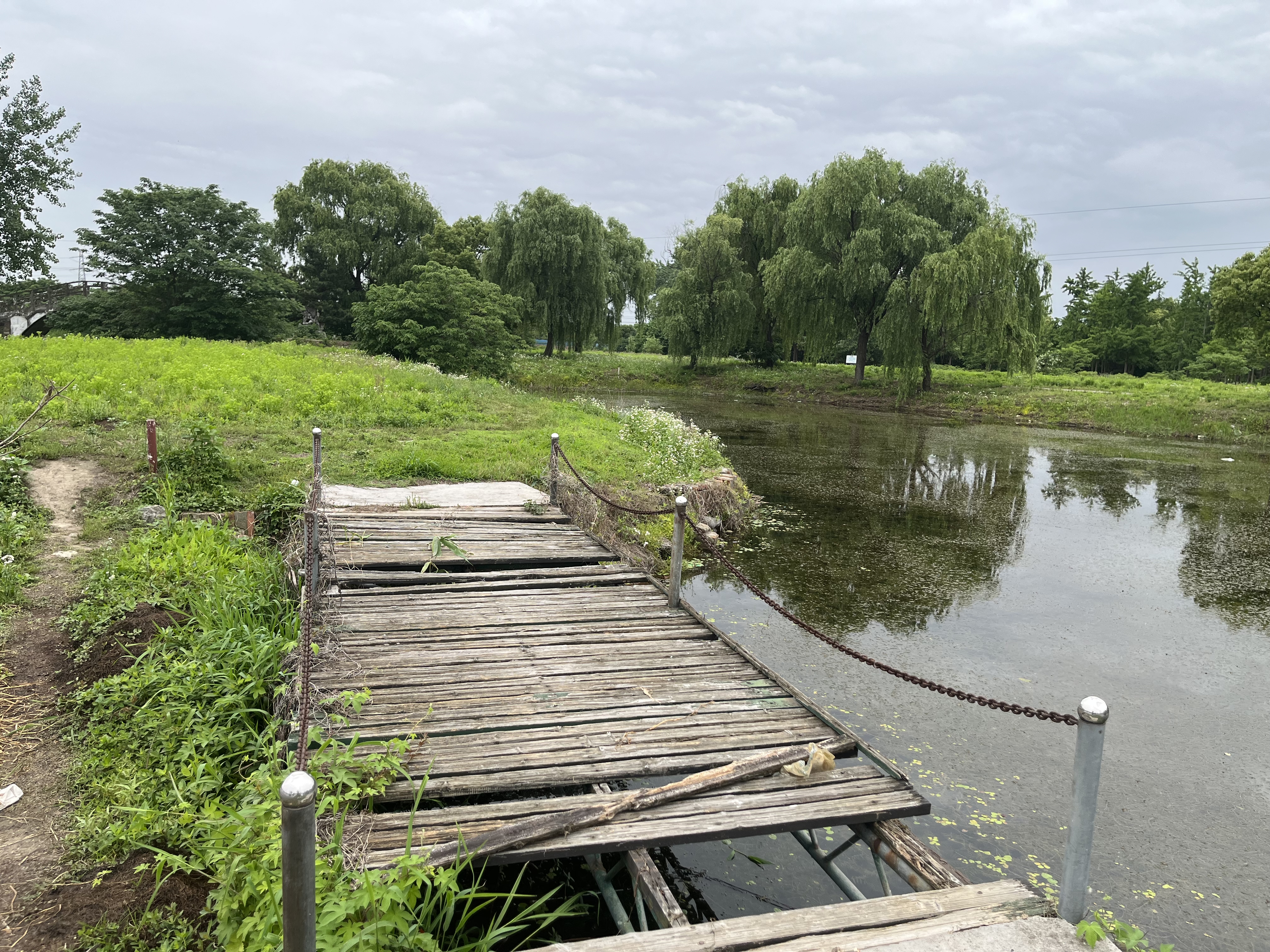 昔日高尔夫球场已变为公园,高尔夫球场将变身公园