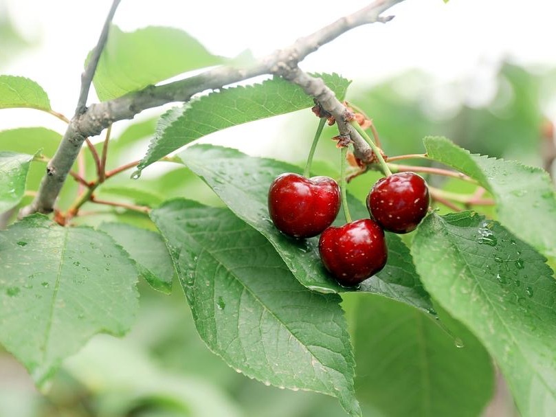 京津冀发生的大事,今日的京津冀新闻