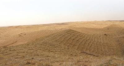 从树木丛生到白雪皑皑,从绵延丘陵到戈壁荒漠