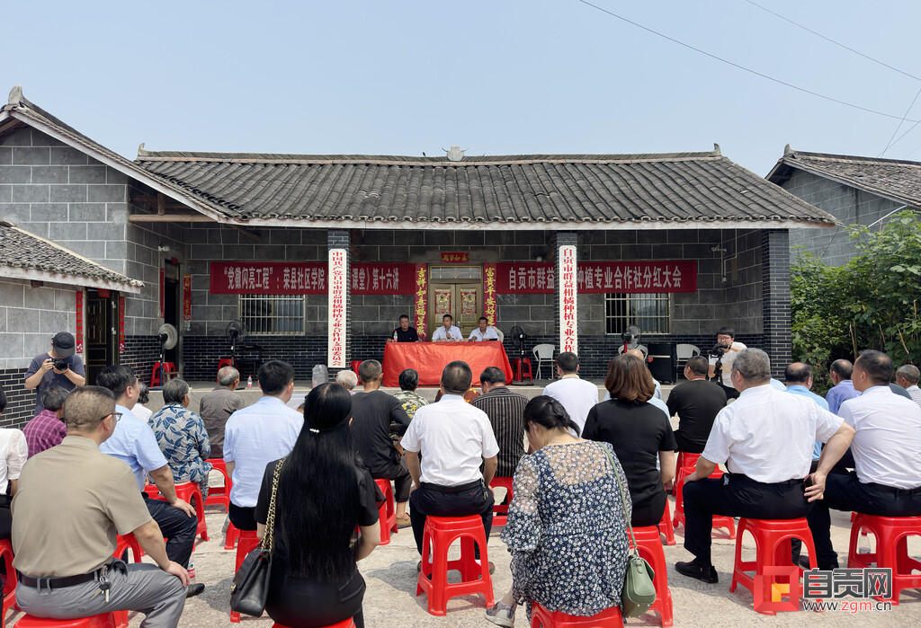 荣县乡村振兴工作站,助推自贡乡村振兴高质量发展