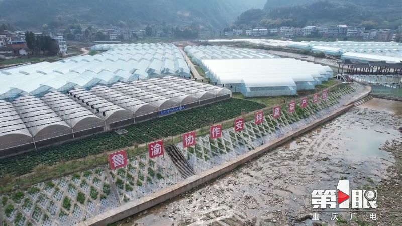 第1眼重庆广电消息,重庆广电第1眼官网