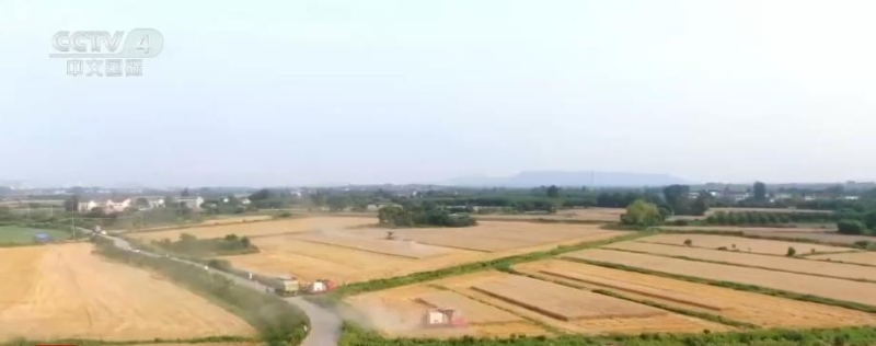 “三跑地”改造成为“三保田”小杂粮种出新希望