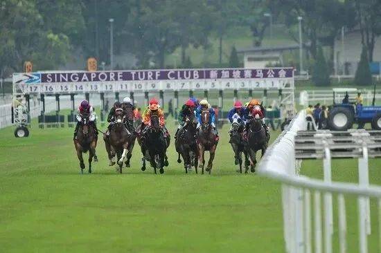 新加坡官宣好消息,近期新加坡官宣