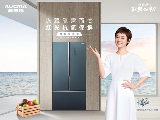 冰箱冷柜澳柯玛,澳柯玛冰箱和冷柜