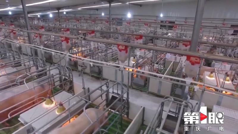 科技创新如何助力智慧农业发展,新技术助力实现智慧农业