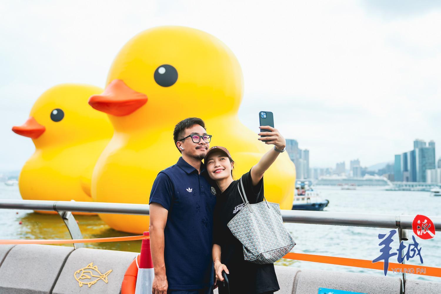 “大黄鸭”阔别10年重游香港,大黄鸭经典升级版