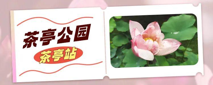 福州地铁4号线花海公园站出入口,福州琴亭湖公园地铁