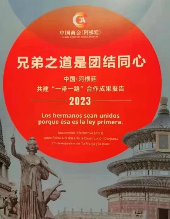 世界杯阿根廷夺冠后巡游,世界杯阿根廷夺冠后阿根廷现状
