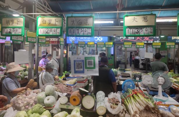 适老化改造方案公共空间,公共设施适老化改造内容