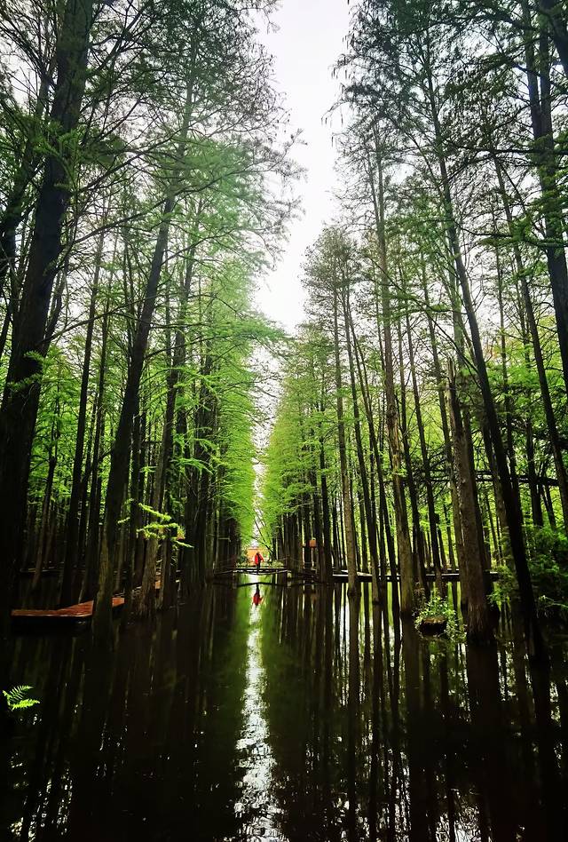 苏中自驾游‖这座城存下了我的一份醉心