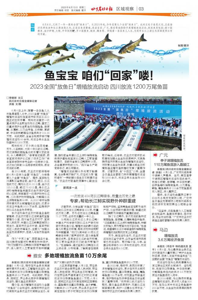 鱼宝宝咱们“回家”喽！