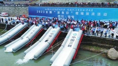 鱼宝宝咱们“回家”喽！