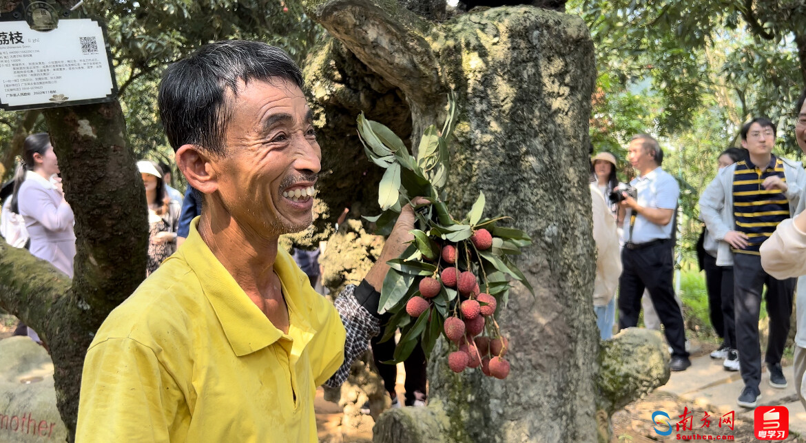 高质量发展调研行江西,高质量发展调研行引热议