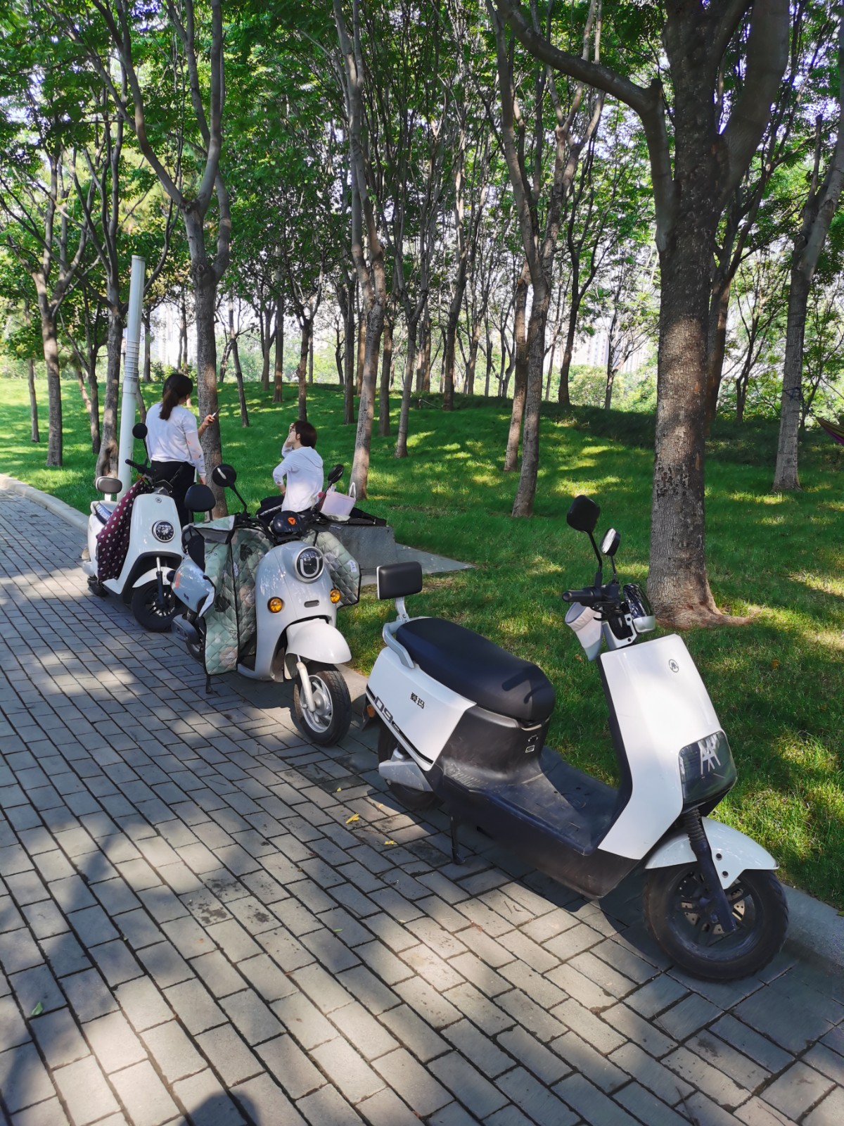 你还没有来过郑州之林?这座空气清新负氧离子爆棚的城市公园值得你来美景打卡