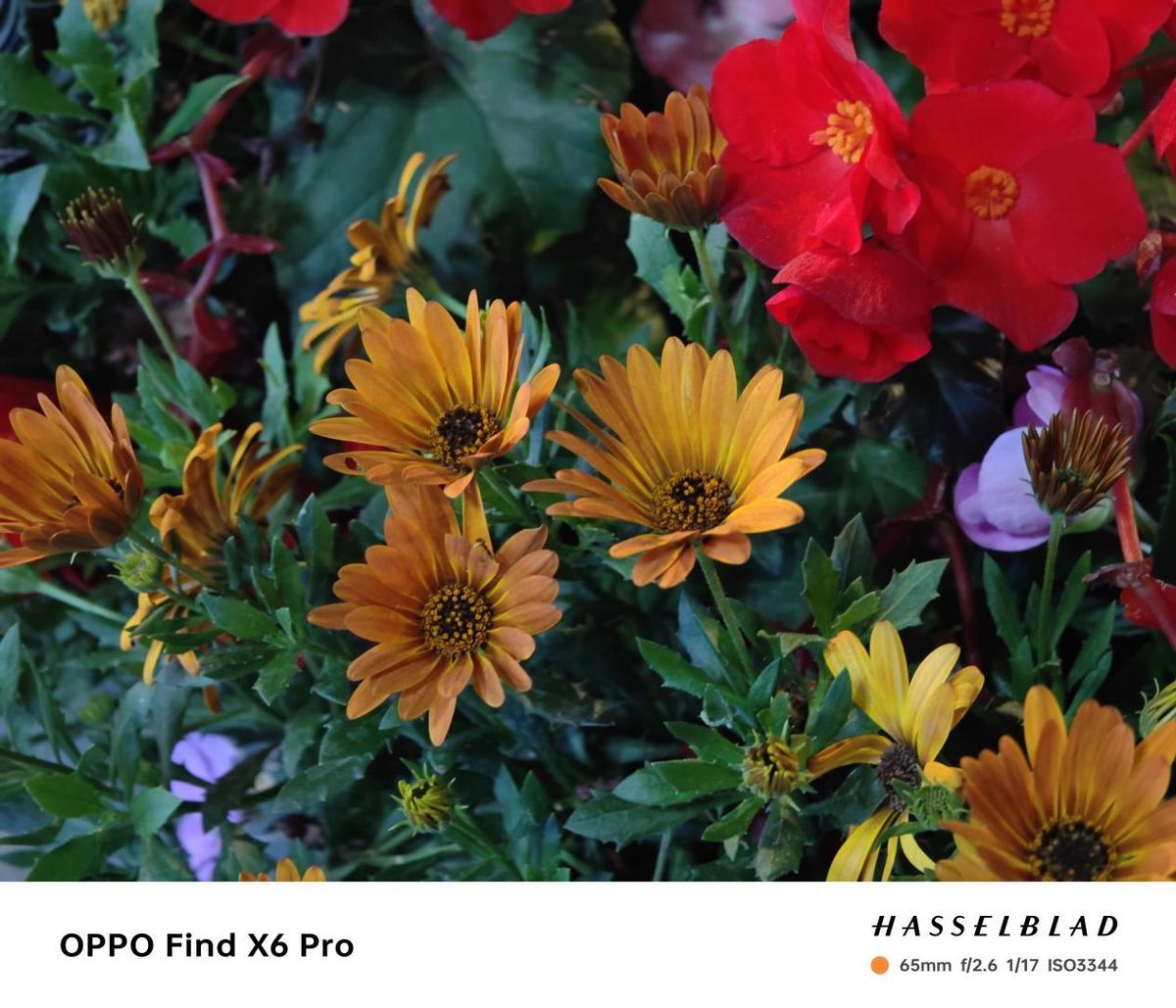 oppofindx6标准版和pro版拍照对比,oppofindx6pro是拍照最好的手机吗