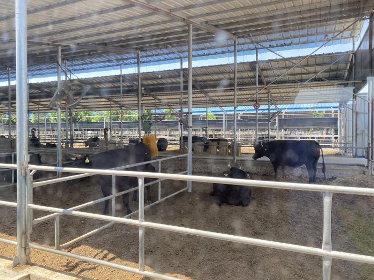 高青黑里寨镇商业街,高青县黑里寨经家村