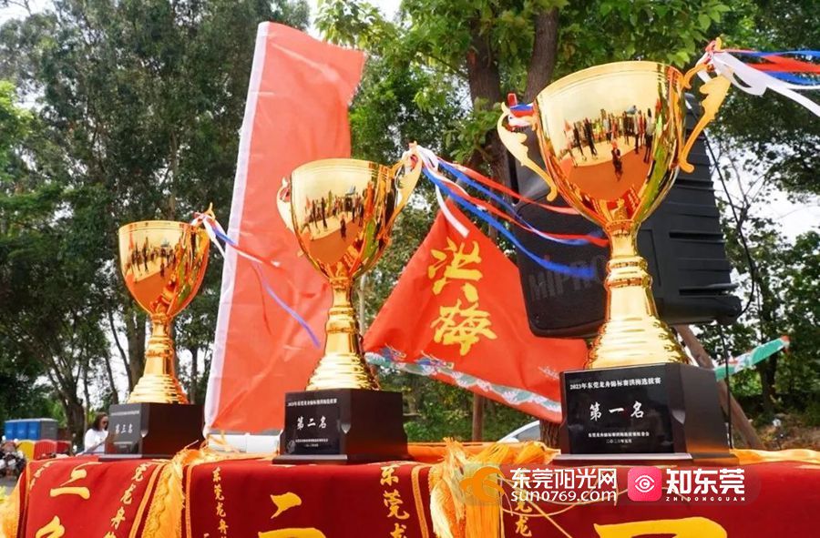 洪蓝龙舟比赛现场直播,东莞洪梅龙舟赛纪录片