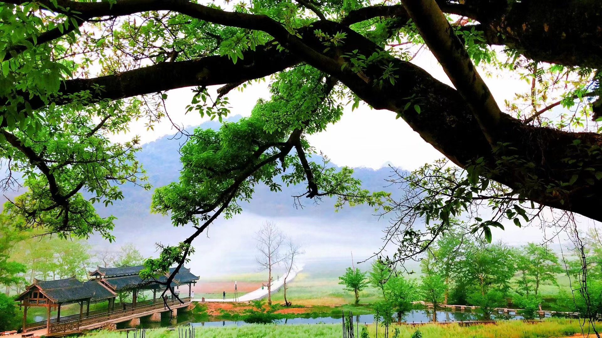 有一种叫云南的生活｜生活在悠然自得的坝美是什么体验？