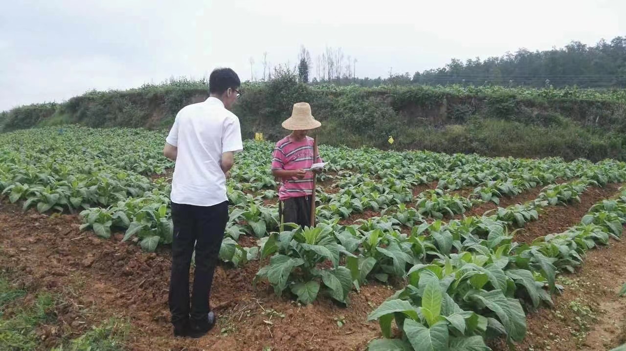 【高端访谈·银行助实体】深挖产业“护城河”勾画发展“上扬线”——访云南红塔银行行长张振民
