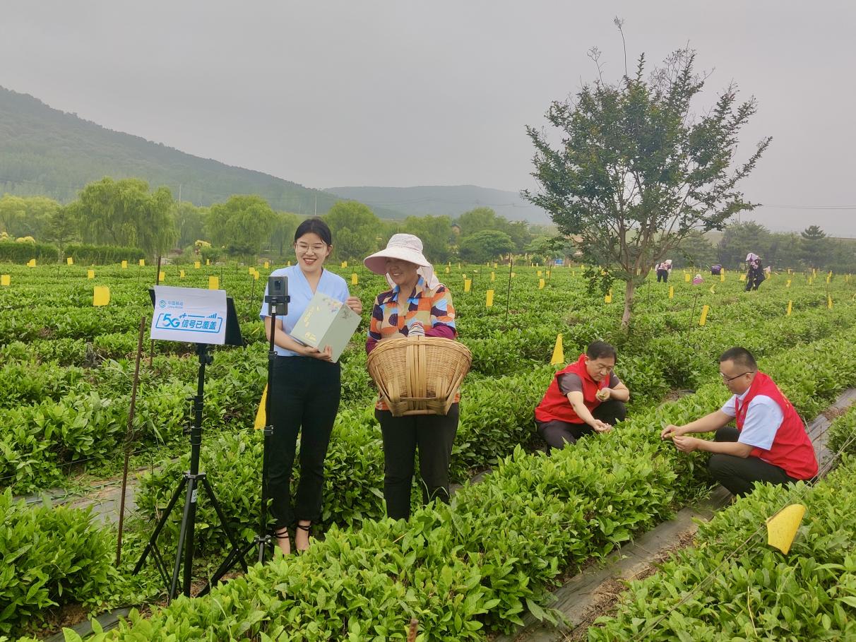 邂逅仲夏,诗韵“移”夏