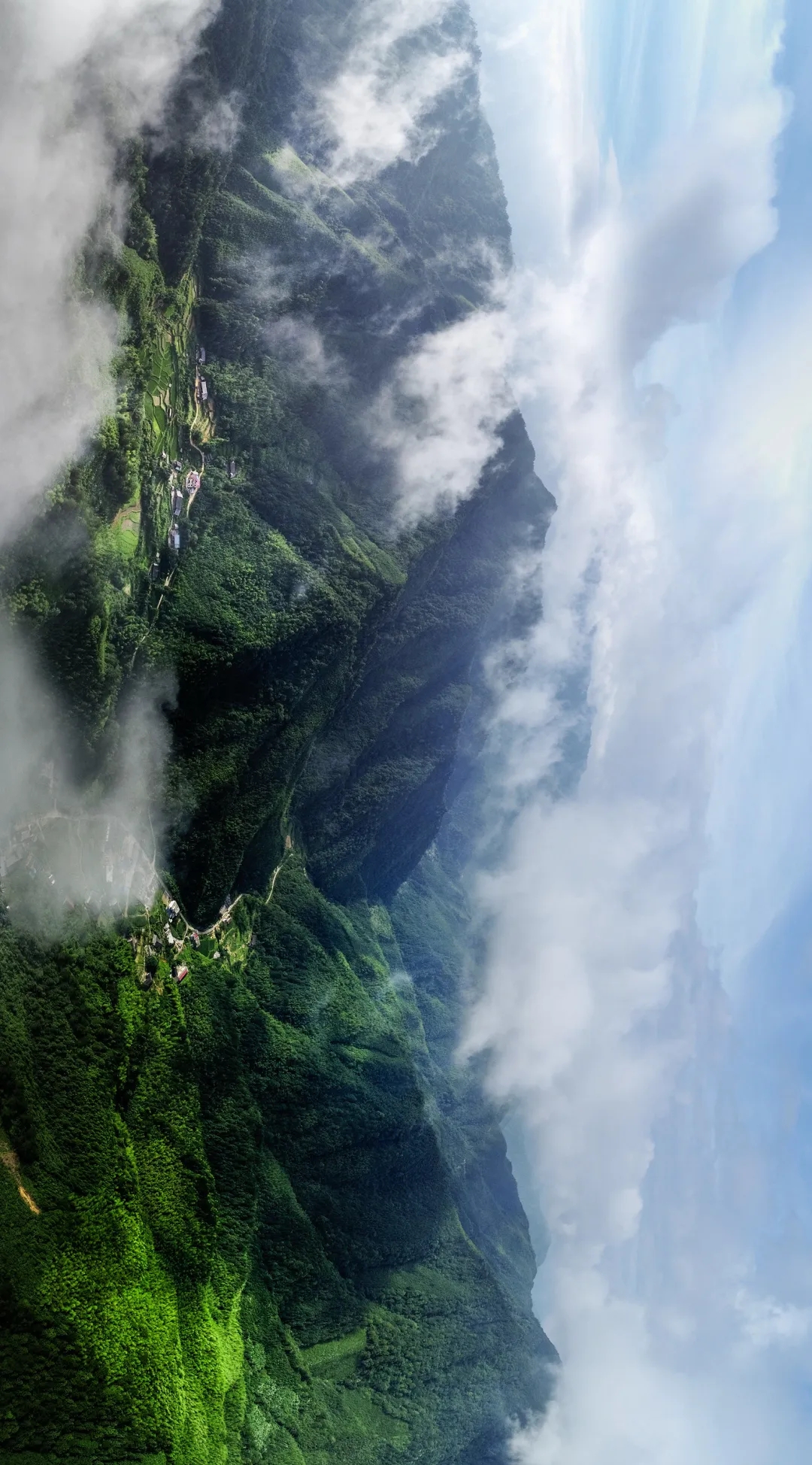 南岛人的祖先来自中国大陆,中国南方人的基因