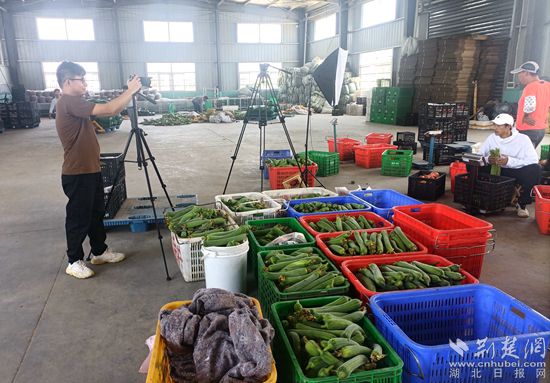 黄州区“新农人”借力网络“快车”,用“小屏幕”打开果蔬“大市场”