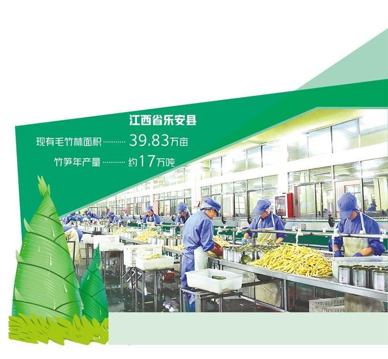 江西乐安竹笋,乐安竹笋历史