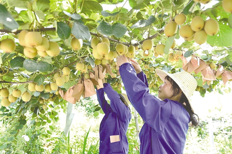 浠水高质量发展,浠水县一心三区建设秀美浠水