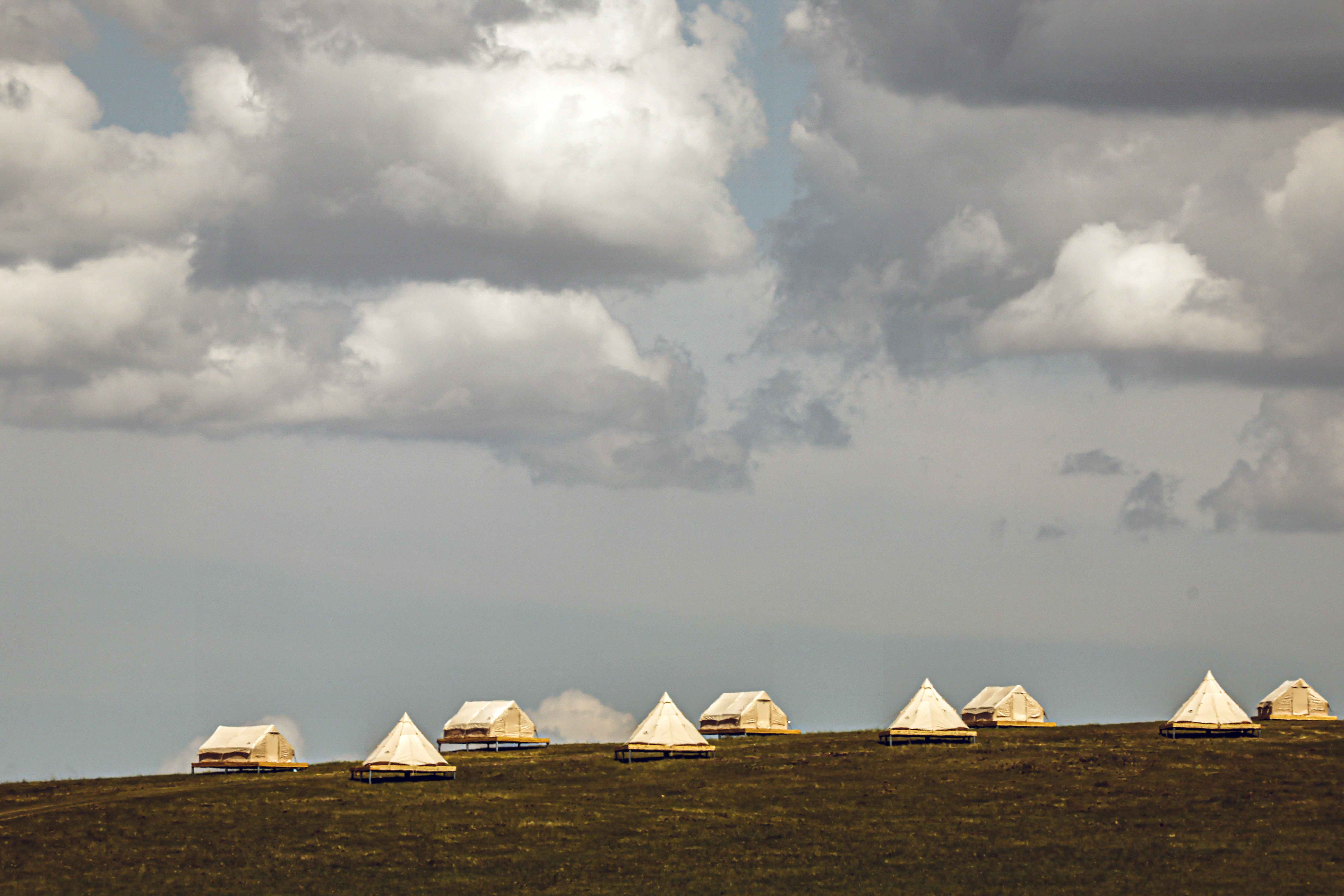 美丽中国呼伦贝尔,美丽富饶辽阔呼伦贝尔大草原