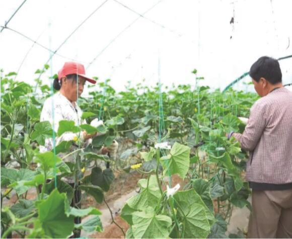 阳城县河道治理工程,阳城县后河巷河道治理