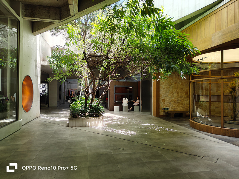 夏季成都短期旅游推荐,重庆和成都夏季旅游哪个更适合