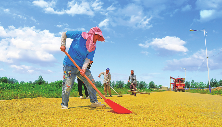 阳城县河道治理工程,阳城县后河巷河道治理