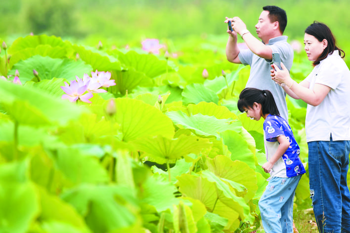 阳城县河道治理工程,阳城县后河巷河道治理