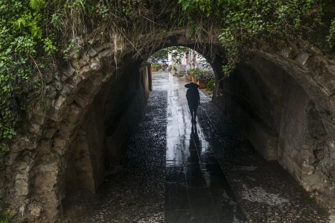 霞客行之江山多娇作品精选：云南有多美？来，跟着“新霞客”游云南（7月3日-9日）