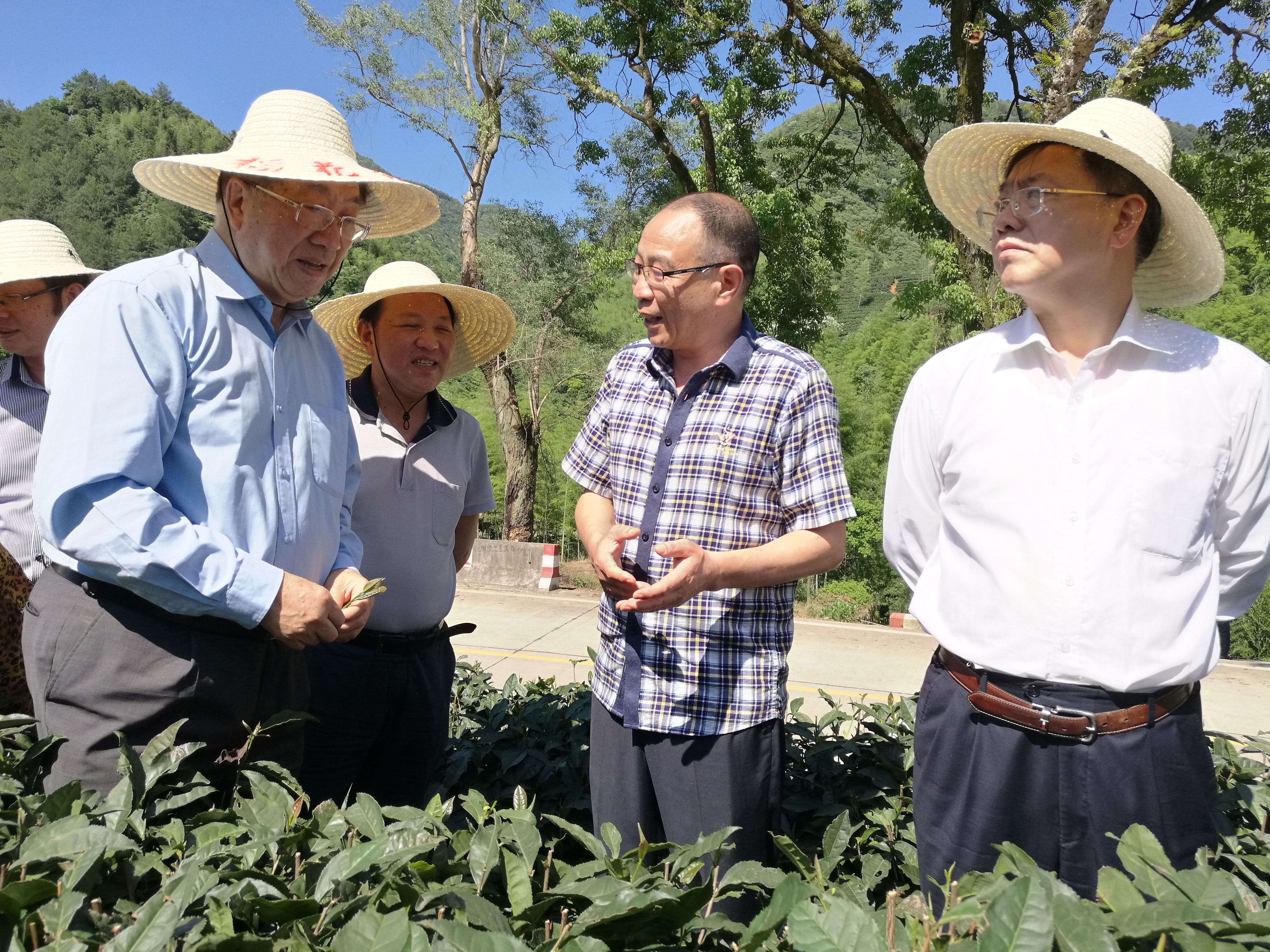*党**报记者八闽调研行丨服务升级一“派”好景