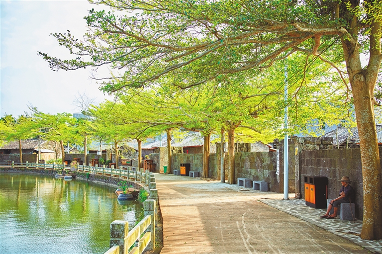 海南暑假旅游攻略自由行,海南研学亲子游