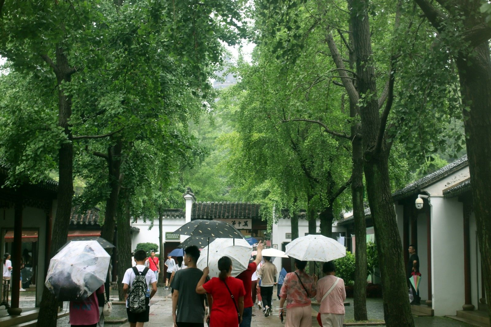 江苏苏州虎丘夜游首秀,苏州风景如诗如画