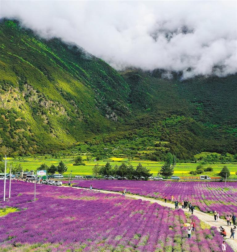 西藏林芝生态旅游节,西藏林芝雅鲁藏布生态文化