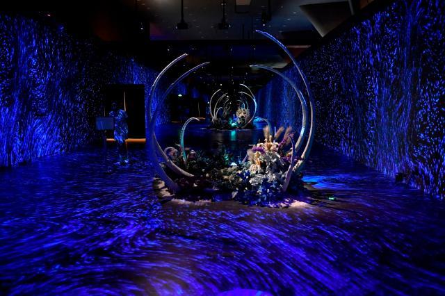 滨海新区向海乐活节时间表,滨海新区向海乐活节有什么活动