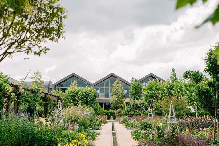 大卫尼斯与施华蔻护发精油哪个好,全球顶级护发品牌