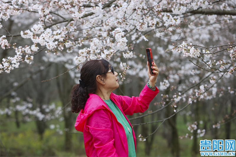 多彩贵州花漾中国走进黔西南,多彩贵州花漾中国兴义