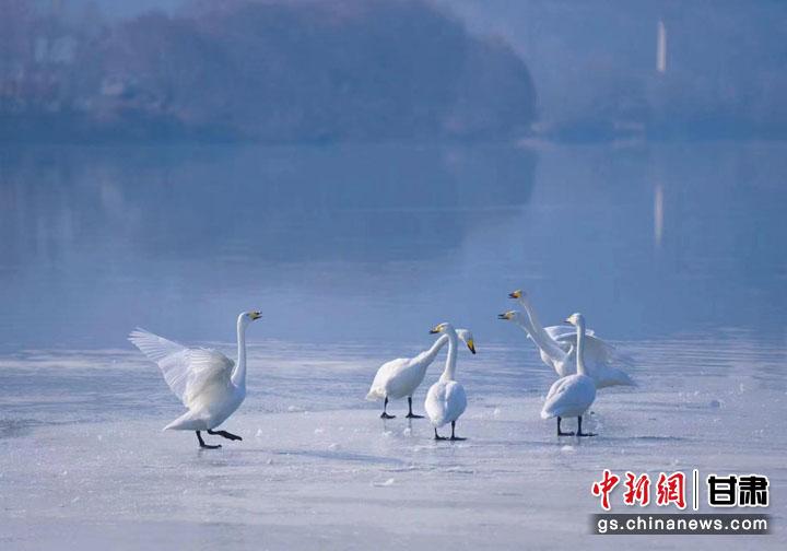 兰州西固精准发力,兰州市城关区献计献策