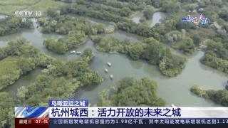 飞越浙江体验第一视角,追随足迹参观西溪湿地的心得体会