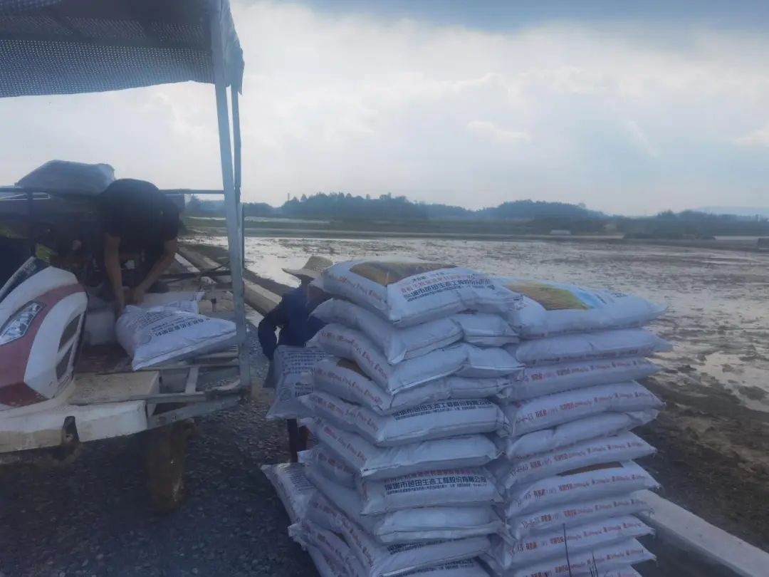 芭田有机无机复混肥40公斤水稻版,芭田水稻肥