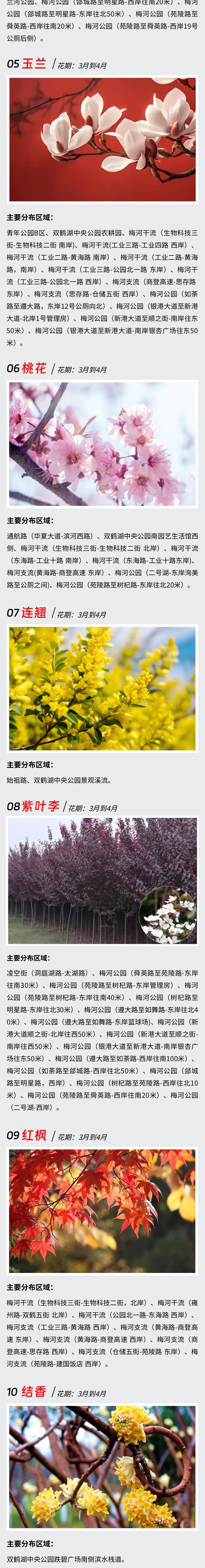 郑州最强赏花攻略出炉,郑州航空港赏花