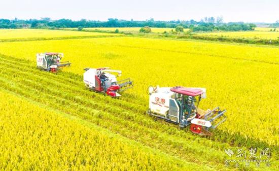 澎湃新动力,澎湃新动能