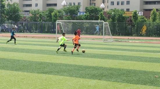 飞鹰足球队教练马运峰：从雏鹰到飞鹰背后的“熬鹰人”